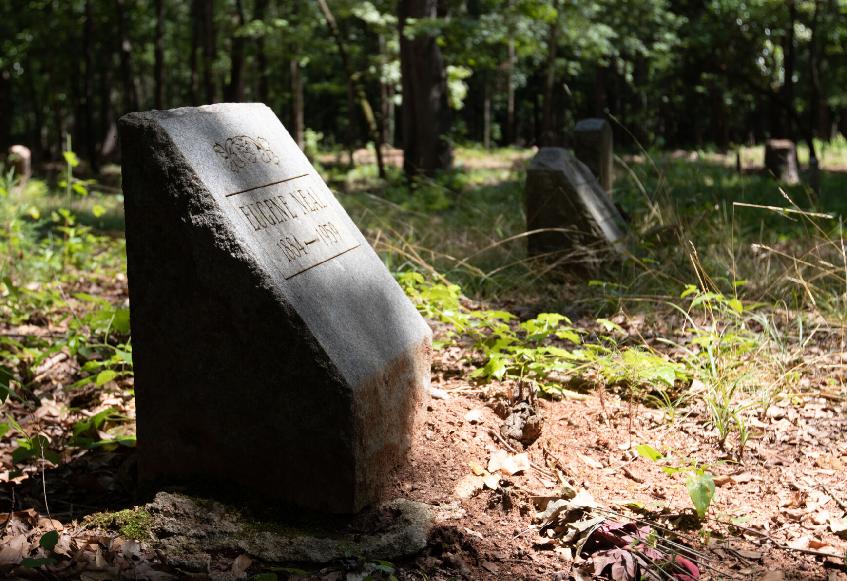 210616_SAW_BrooklynCemetery-4.jpg